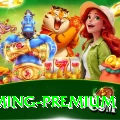 Pakiwin - Gaming Premium